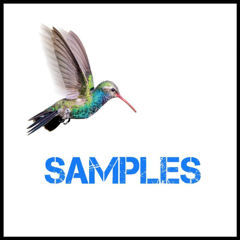 samples 800x800 - Samples