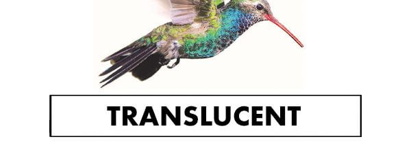 Translucent